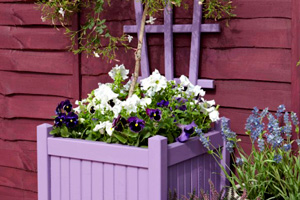 The rich colour of the fence perfectly offsets the planting and planter